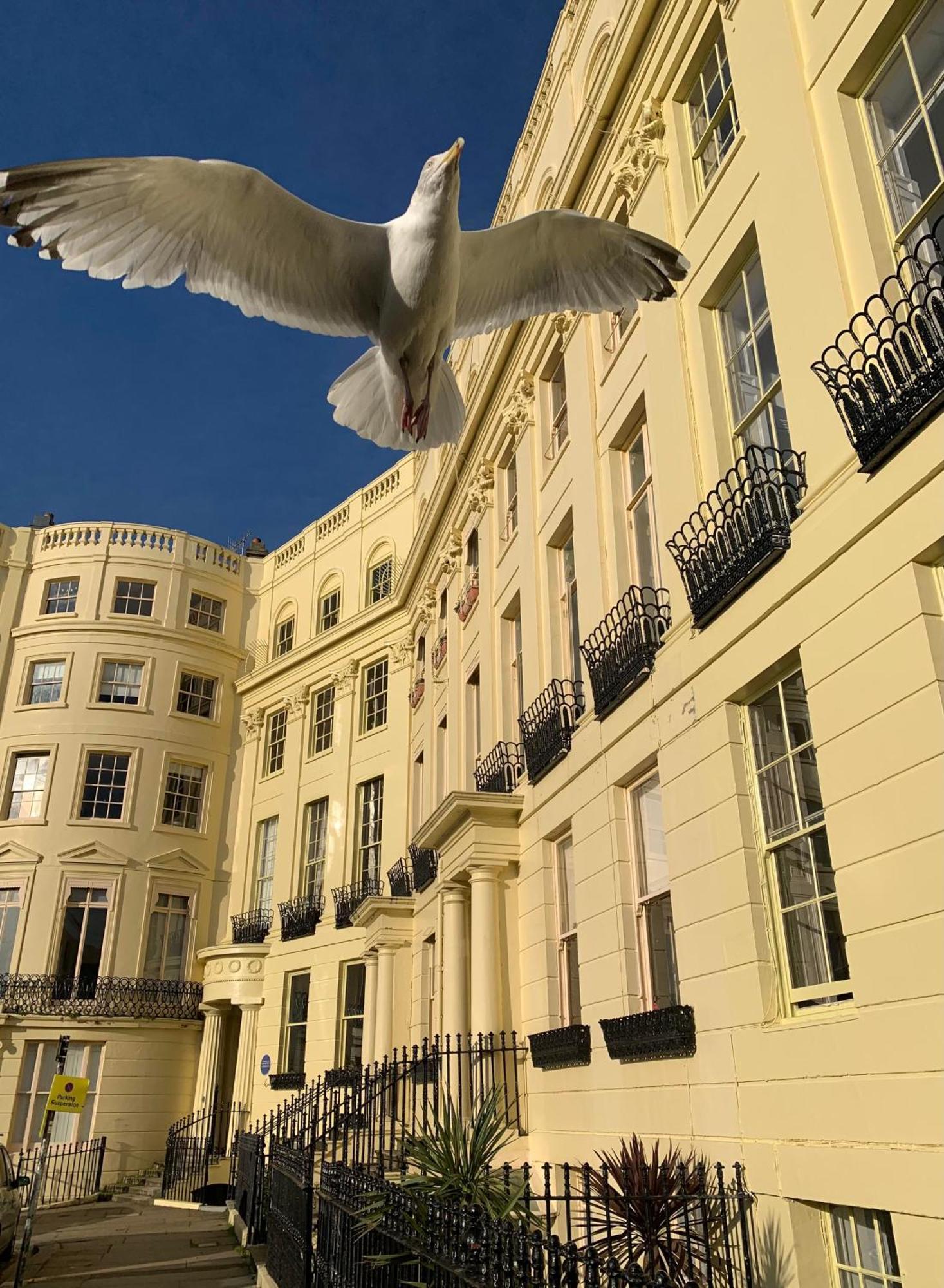 Lansdowne House Couette-café Hove